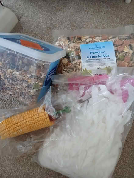 Photo of free Hamster/Gerbil Food and bedding (East bergholt CO7) #1
