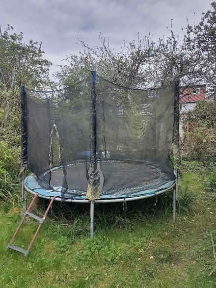 Photo of free Trampoline 3 metre diameter. (Oxford OX4) #1