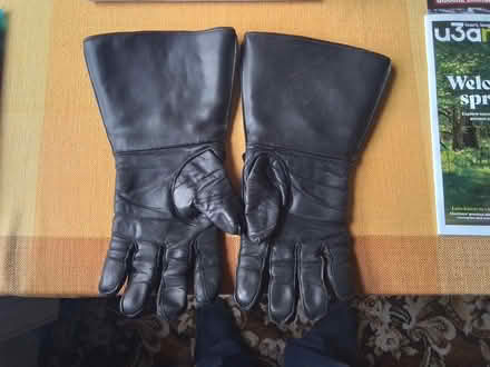 Photo of free Pair mens size gauntlet gloves (Shirley SO16) #1