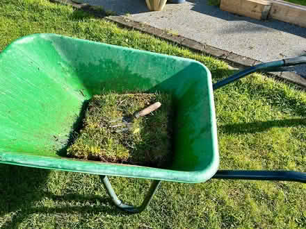 Photo of free Real lawn turf squares (Hatfield AL10) #1