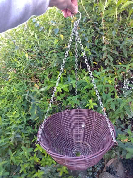 Photo of free Hanging baskets (Sutton Courtenay OX14) #3