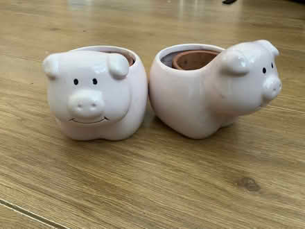 Photo of free Pig mini plant holder (Surrey Heath GU15) #1