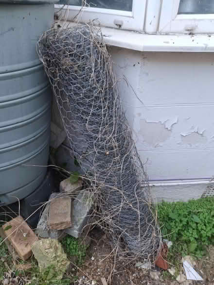 Photo of free Chicken wire (West Southbourne BH6) #1