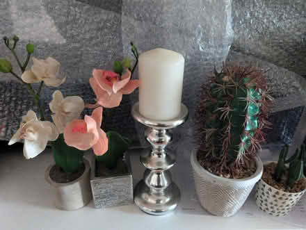 Photo of free fake plants + candle (Salford Quays M50) #1