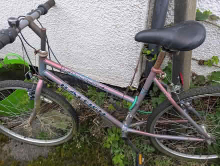 Photo of free Ladies bike (Sutton Manor WA8) #3