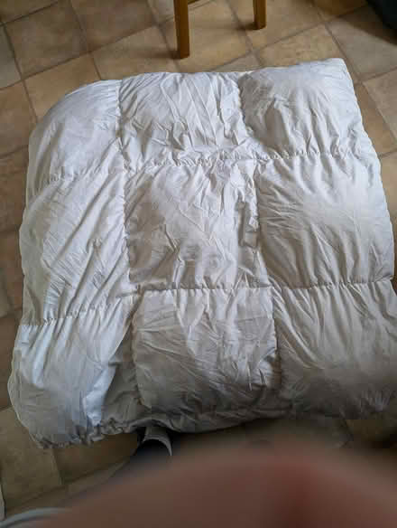 Photo of free Feather Duvet 13.5 togg (Cherry Hinton CB1) #1