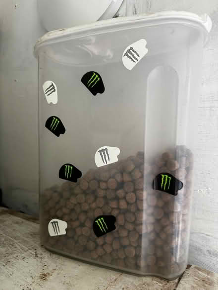 Photo of free 15kg - Cocker spaniel Harrington (DH5 0PL) #3