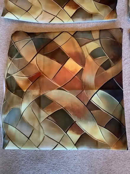 Photo of free 8 cushion covers (Walkern SG2) #3