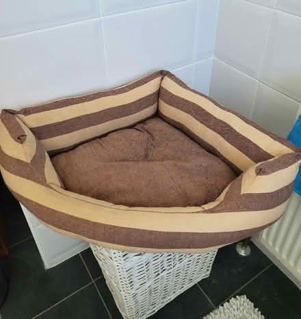 Photo of free Corner cat/small dog bed & Catnip bubbles (Iver SL0) #1