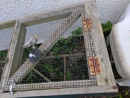 Photo of free Small animal play run (Sutton Manor WA8) #1