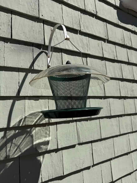 Photo of free bird feeder (Davis Sq) #1