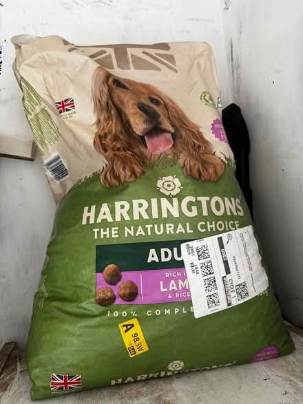 Photo of free 15kg - Cocker spaniel Harrington (DH5 0PL) #1