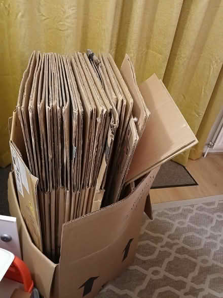 Photo of free Packing cases for removals (Cheshunt EN7) #1