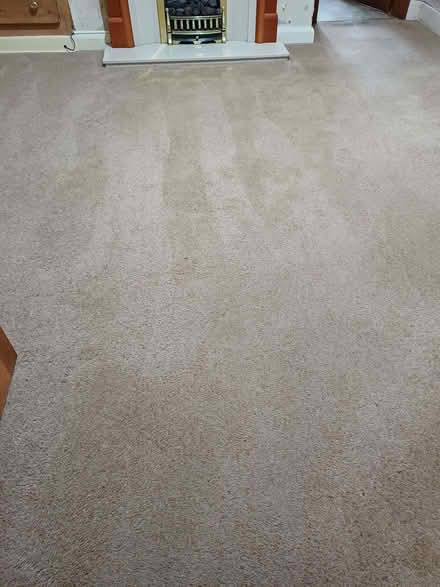 Photo of free Beige Carpet (Southport PR9) #2