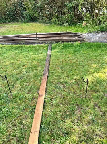 Photo of free Real lawn turf squares (Hatfield AL10) #4