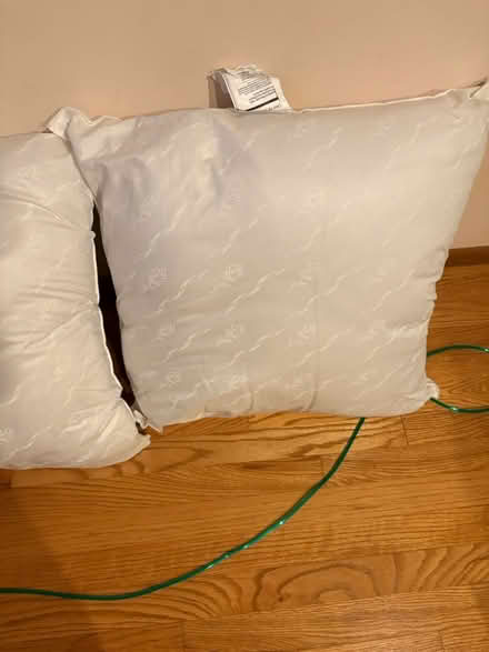 Photo of free Pillows (Fremont) #2