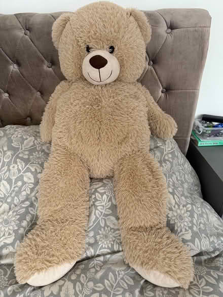 Photo of free Large fluffy teddy (Carshalton) #1