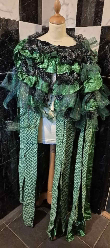 Photo of free Stage Theatre Carnival Costumes (Hollinswood TF3) #2