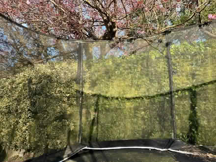 Photo of free Large trampoline (Solihull B91) #4