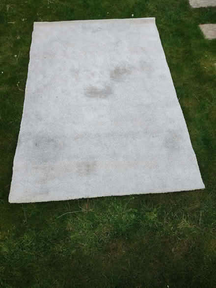 Photo of free Rug (Perivale W13) #1