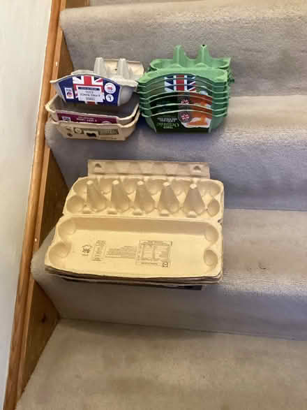 Photo of free Egg boxes (Crawley RH11) #1