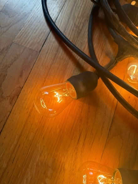 Photo of free Party Lights (South Pasadena) #2