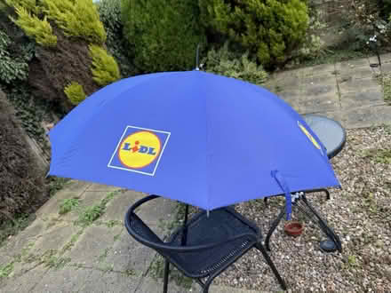 Photo of Lidl umbrella (London) #3