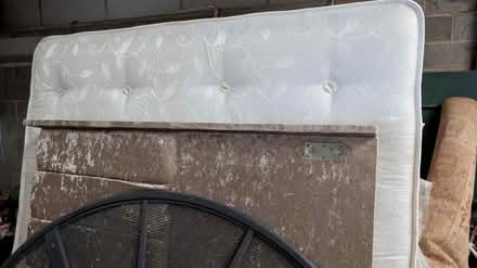 Photo of free Double bed wiyh mattres (Ripon) #3