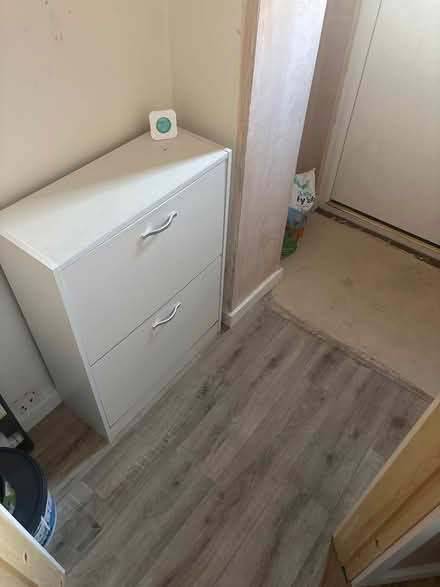 Photo of Lino (DE65) #1