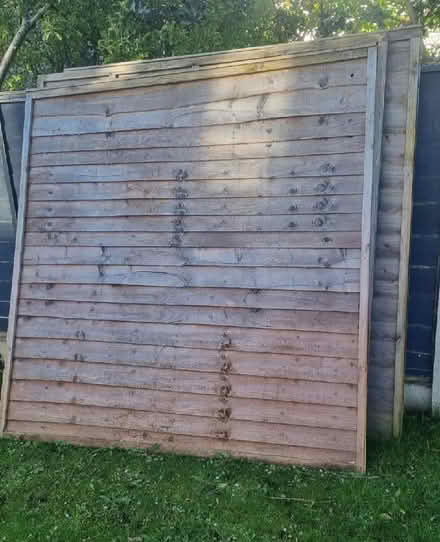 Photo of free 3 x 6ft Fence Panels (Bare LA4) #1