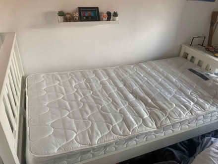Photo of free Single bed and mattress (Diglis WR5) #1