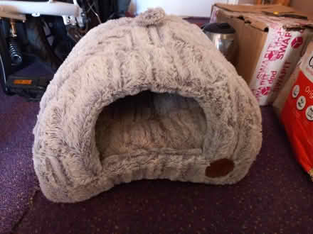 Photo of free Cat cave (Collyhurst M40) #1