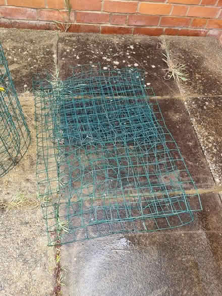 Photo of free Wire mesh/ garden net (CM2 springfield, chelmsford) #2
