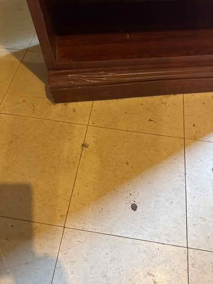 Photo of free Bookshelves (Severna Park) #3