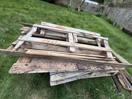 Photo of free Old wood pallets (Old Town SG1) #1