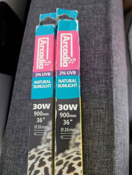 Photo of free Arcadia 36 inch 2% UV bulbs (The Highlands TN39) #1