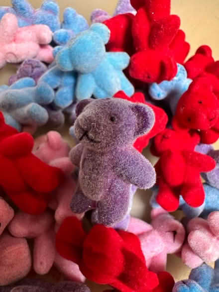 Photo of free Mini bears (Ringwould CT14) #3