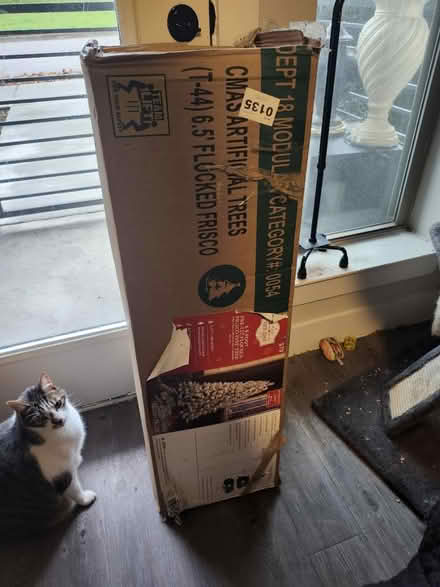 Photo of free 6.5 foot Christmas tree (76102) #1