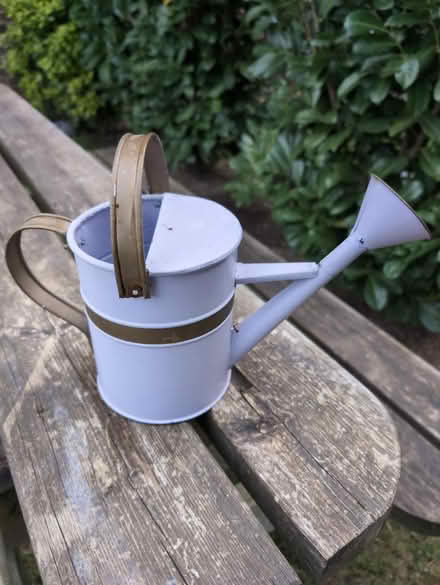 Photo of free Small watering can (Calcot RG31) #1