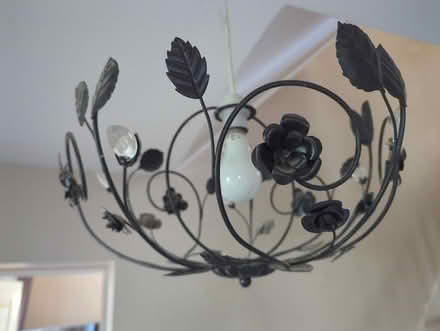 Photo of free 2 Metal lamp shades (Shippon OX13) #1