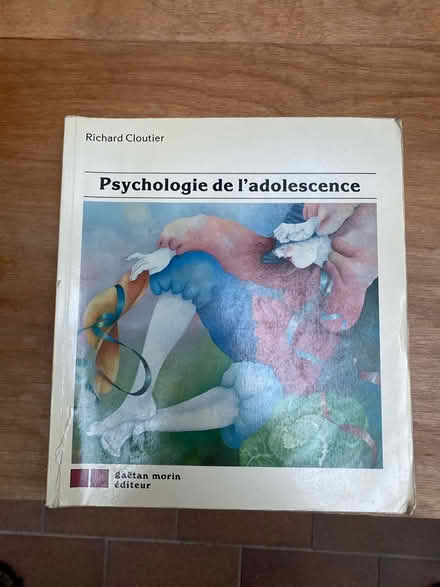 Photo of free Psychologie de l’adolescence (Beaches) #1