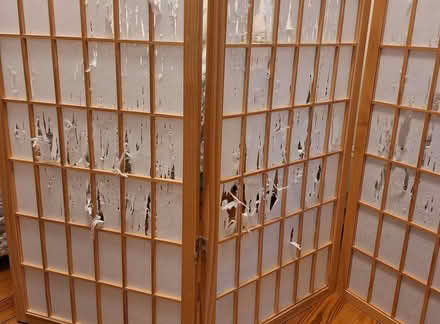 Photo of free Shoji screen room divider 4 repair (Davis/Teele Square area) #3