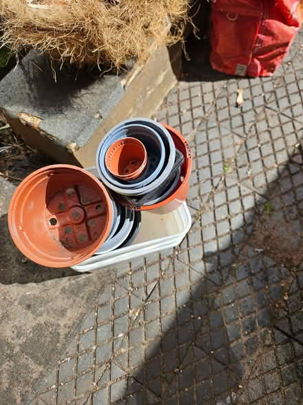 Photo of free Plastic plant pots (Loughborough LE11) #3