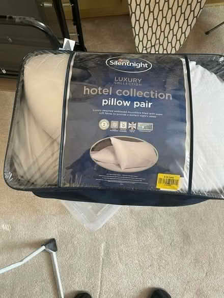 Photo of free Pair of pillows (Barnard's Green WR14) #1