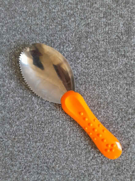 Photo of free Pumpkin/Melon scoop (Grassmarket EH1) #1