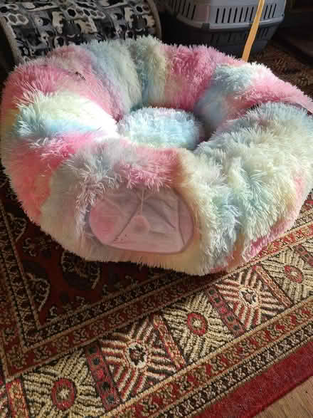 Photo of free Cat play tunnel (Halifax) #3