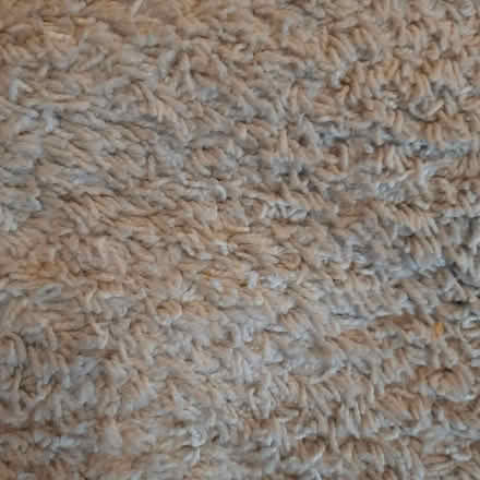 Photo of free Large cream rug (Weston BA1) #1