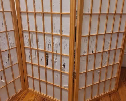Photo of free Shoji screen room divider 4 repair (Davis/Teele Square area) #2