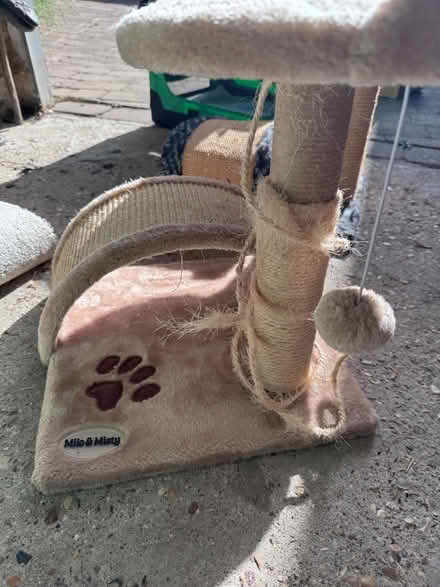 Photo of free Cat equipment (Cambridge/Royston) #1