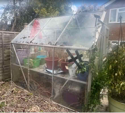 Photo of free Greenhouse: Aluminium & Glass (Belmont SL6) #3